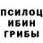 Галлюциногенные грибы мицелий Vladimir Runov
