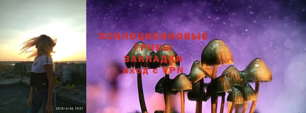 шишки Балабаново