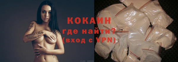 шишки Балабаново